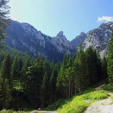 Pethe's No 1 Appartamento Schwangau