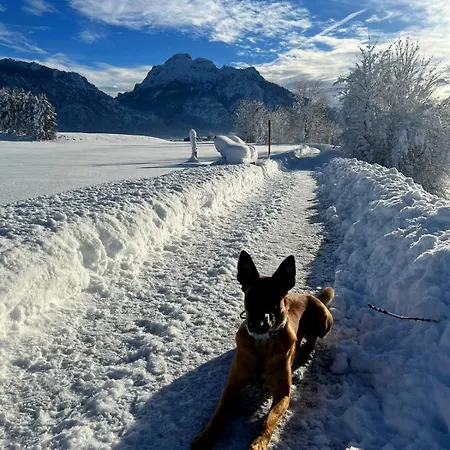 Appartamento Pethe's No 1 Schwangau
