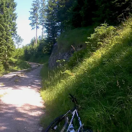 Pethe's No 1 Appartement