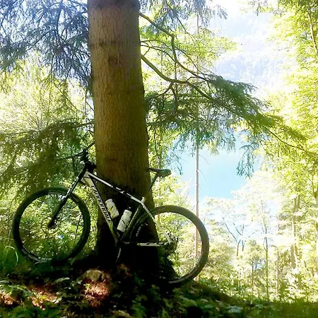 Pethe's No 1 * Schwangau