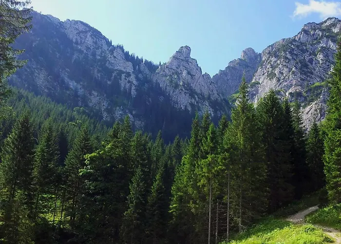 Pethe's No 1 Appartement Schwangau