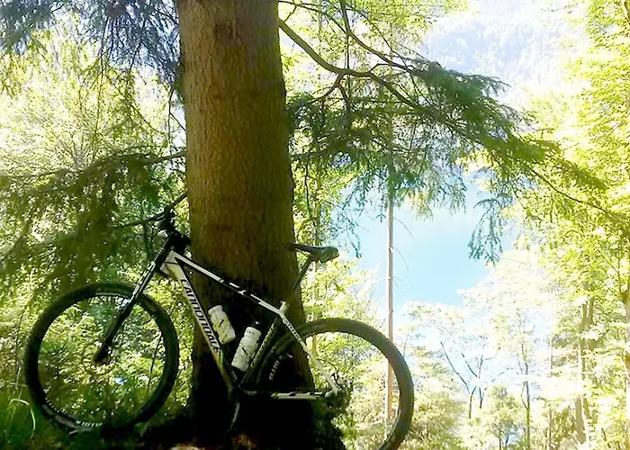 Pethe's No 1 * Schwangau